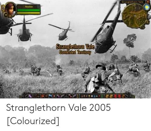 STV was an absolute OG warzone #XZEmpire #XZGaming #MMORPG #WorldOfWarcraft #Warcraft #WoW #Blizzard #Gaming #Games #VideoGames #Gamers #GamingMemes #Memes #Nostalgia #GamerNostalgia