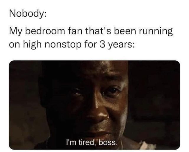 That fan looks like it’s seen more sleepless nights than a college student during finals week.